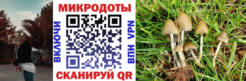 Псилоцибиновые грибы ЛСД  закладки  KRAKEN сайт  Калязин 